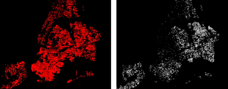 Illustration for article titled Every Tree in New York City, Mapped By Species